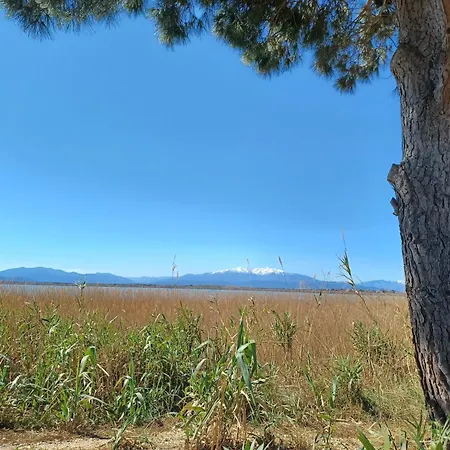 Campeggio Mobil- Chez Les Lolos Canet-en-Roussillon